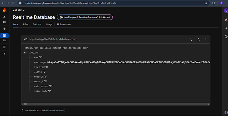 Real Time Database